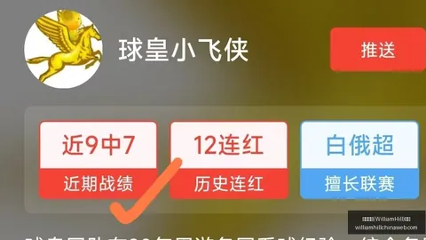 邦马蒂美墨巡游大热，全球球迷狂热追捧